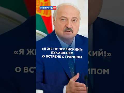 Лукашенко: я же не Зеленский – бежать к Трампу за деньгами! #лукашенко #трамп #зеленский #политика