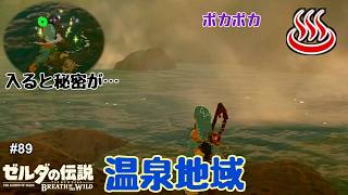 ゼルダの伝説 ブレス オブ ザ ワイルド 実況プレイ！ #89