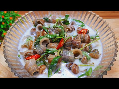 Ốc len xào dừa