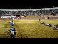 Men Participate in Crawling Race Across Bullfighting Arena - 988572
