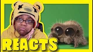 Lucas The Spider Giant Spider | Animation Reaction