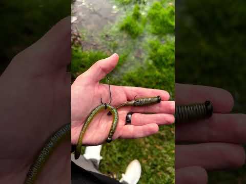 Neko Rig or Ned Rig?