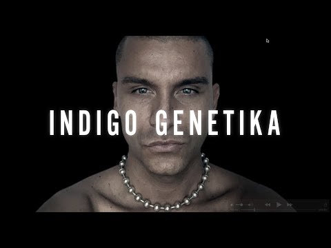 TKX - Genesis 911 (lyric video)