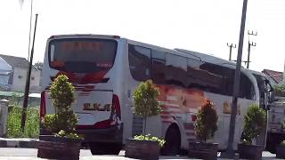 preview picture of video 'Ngawi-Jogja,Trip report patas EKA | S 7361'