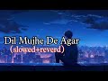Dil Mujhe De Agar Slowed And Reverd Song Sad Hindi Song Sad Song Lofi Alone