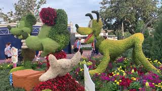 Epcot Flower & Garden Festival #epcot #disneyworld #flowers #garden