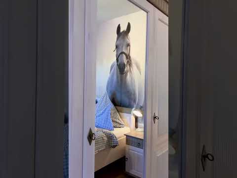 Video 40 aus  Burgbauernhof am Katzenstein - Ursprünglichkeit des Landlebens gepaart mit Gesundheit und Luxus