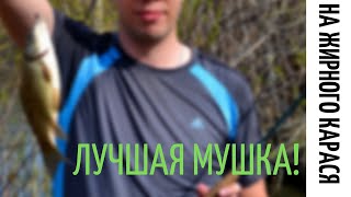 На что ловить карася нахлыстом