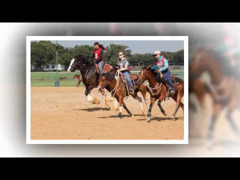 Colt Starting Clinic with Clinton Anderson