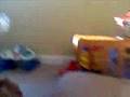 Killing Elmo