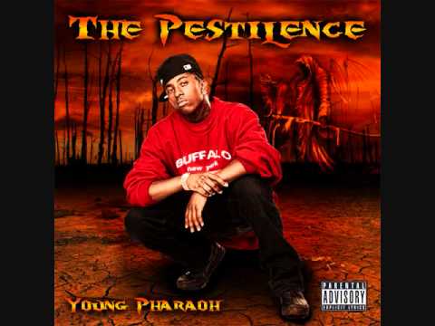 YOUNG PHARAOH-BUM BITCH