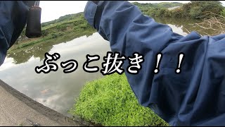 釣り人が大好きな”ぶっこ抜き”！！【トラブルもありましたが、楽しめました】