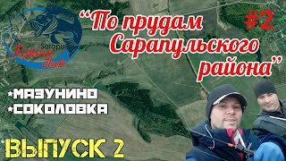 Клев в сарапуле на неделю