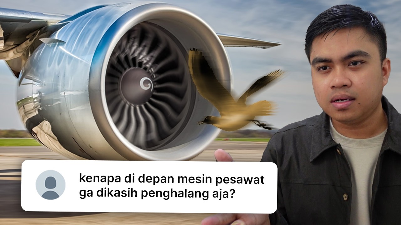 Bagaimana sebuah burung kecil bisa menghancurkan pesawat 100.000 kg