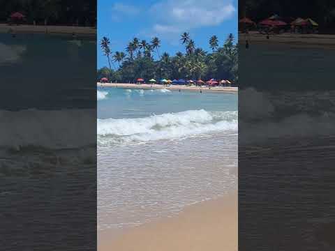 #PraiaDoCoqueirinho ☀️🌊🌴⛱️ #Conde #Paraiba