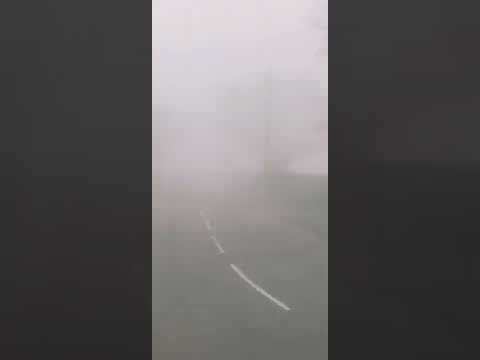 incredible fog views! but extremely thick fog, probably ~10m visibility!!!! 🌫️🌫️🌫️🌫️