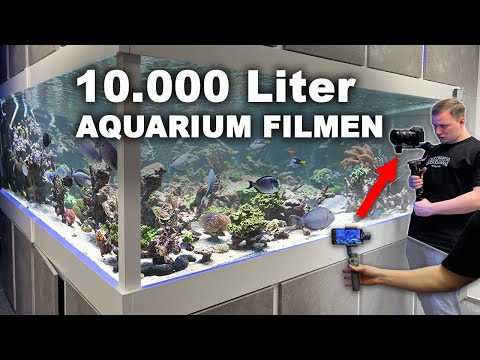 How to film an aquarium - 10.000 liters SALTWATER TANK vlog- my camera set up *english subtitles*