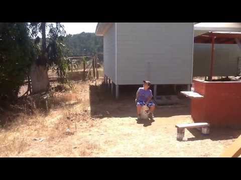 ¡CORRE CHICO CORRE!