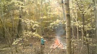 preview picture of video 'Coppicing at Slindon Estate'