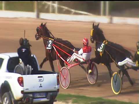 Trotto 07/09/2018 - 5ª corsa