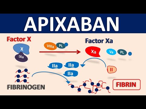 Apixaban (Eliquis) as blood thinner || Mechanism, precautions & interactions