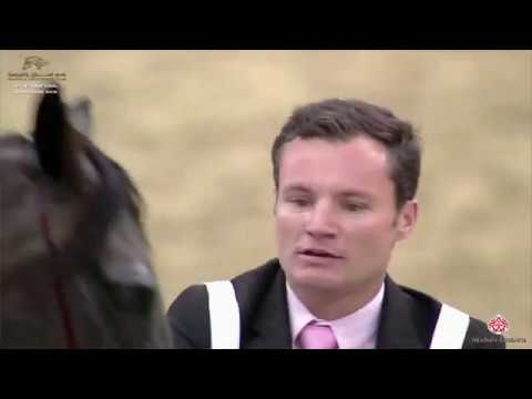 N 78 AL JAZEERA   29th Qatar Intl A H  Show 2020   7 10 Years Old Mares Class 5