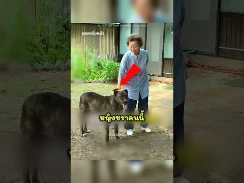 สุนัขตัวนี้ไม่ยอมให้ใครสัมผัสตัวนาน 5 ปี