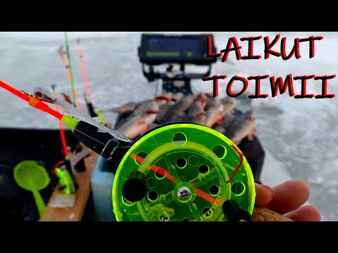 AHVENET JIGILLÄ LAIKUILTA LAUTASELLE - HYVÄT KALAT 2022 EKALTA REISSULTA