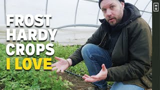 Every Crop I&#39;m Growing This Winter! Cold Hardy And Delicious