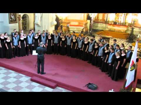 SRVHS Choir 2013 Baltics Tour: "Kas tie tadi" Lithuania