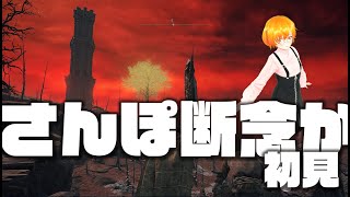 【初見ソロ】迷子のエルデ#5　『散歩の王になろうとしたが、東の沼は僕にはまだ早かったようです』