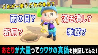 あさりが大量に出るって本当？噂を全部調べてみた結果…！（湧き潰し・新月・雨・季節別）【あつ森】