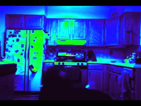 Bianca Cabrera is blue in her kitchen