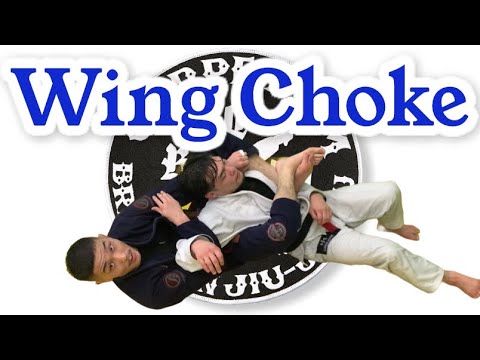 片羽絞め Wing Choke