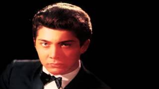 Paul Anka - The Shadow Of Your Smile - 1968