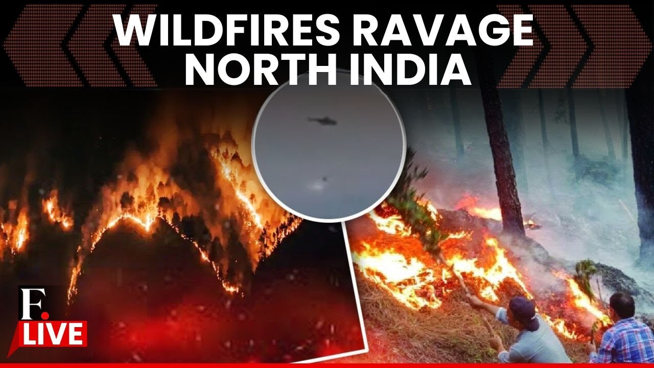 LIVE: Wildfires Grip North India's Jammu & Kashmir, Himachal Pradesh & Uttarakhand