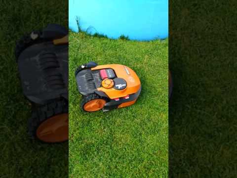Worx Landroid s bei der Arbeit
