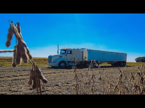 Farm Basics: Peterbilt Semi Truck