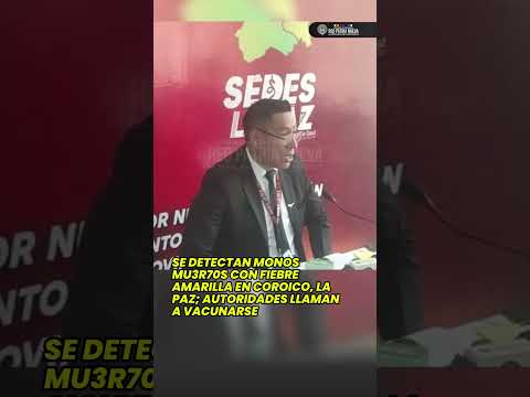 🦍 Se detectan monos muertos con fiebre amarilla en Coroico, La Paz; autoridades llaman a vacunarse 🩺