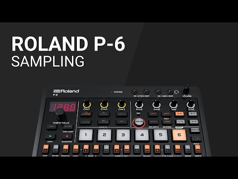 Das ROLAND P-6 Sampling - Anleitungs-Tutorial