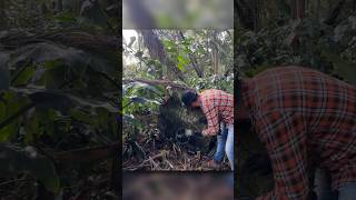 Mistério dentro da Capela Escondido - Achamos o Tesouro dentro do buraco da Parede - parte 1