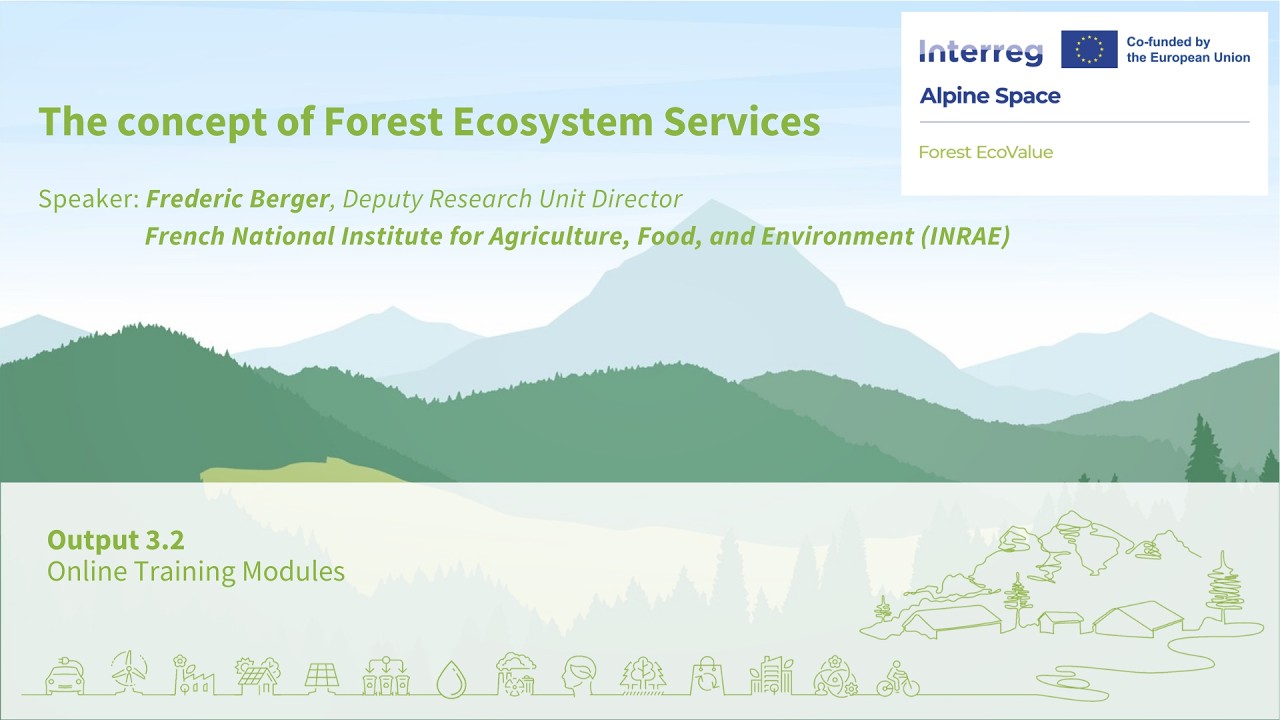 Forest EcoValue |  Output 3.2 - The concept of Forest Ecosystem Services