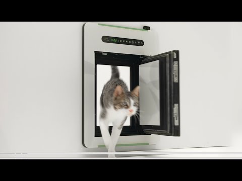 petWALK - doors for pets