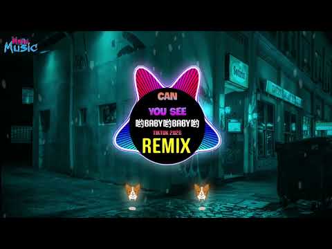 Can You See 哟Baby哟Baby哟 (DJ抖音版) Funkyhouse Remix Tiktok 2026) Can You See You Baby You Baby You