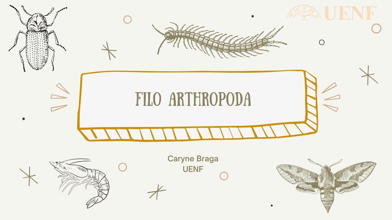 Panarthropoda: Arthropoda