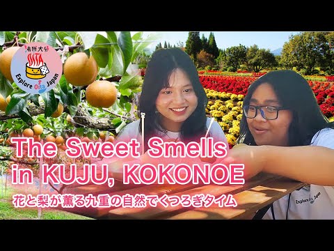 A Trip For the Heart and Palate! Relaxing in the Wilderness of Oita’s Kokonoe! 【Explore Oita Japan】