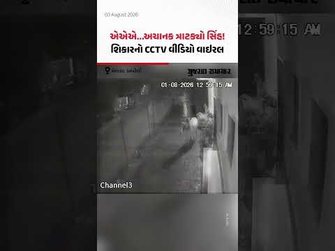 Amreli: સિંહે કરેલા શિકારનો CCTV વીડિયો વાઇરલ! રાતના અંધારામાં સાવરકુંડલાના મેવાસામાં પશુઓ પર હુમલો Amreli: સિંહે કરેલા શિકારનો CCTV વીડિયો વાઇરલ! રાતના અંધારામાં સાવરકુંડલાના મેવાસામાં પશુઓ પર હુમલો