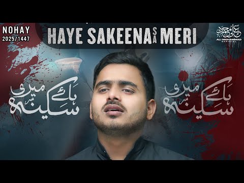 Nohay 2025 | Haye Sakina Meri | Ali Mohammad Sultanpuri Nohay 2025 | Mola Abbas Noha 2025 / 1447