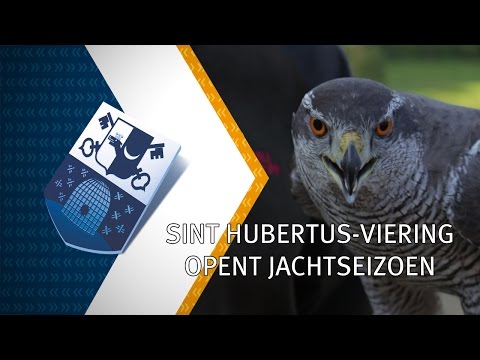 Peel en Maas Journaal 13 oktober 2015 - Peel en Maas TV Venray