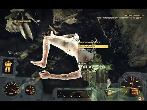 Fallout76  part  102